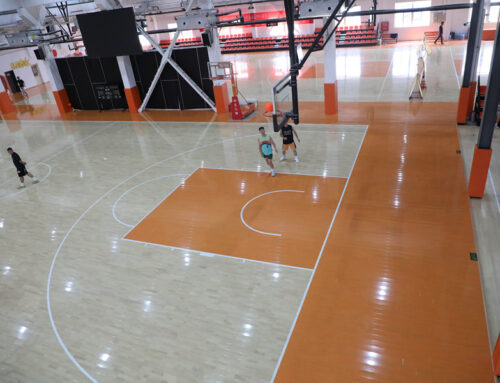 What Type of Wood Are Basketball Courts Made Of? The Role of Maple Hardwood